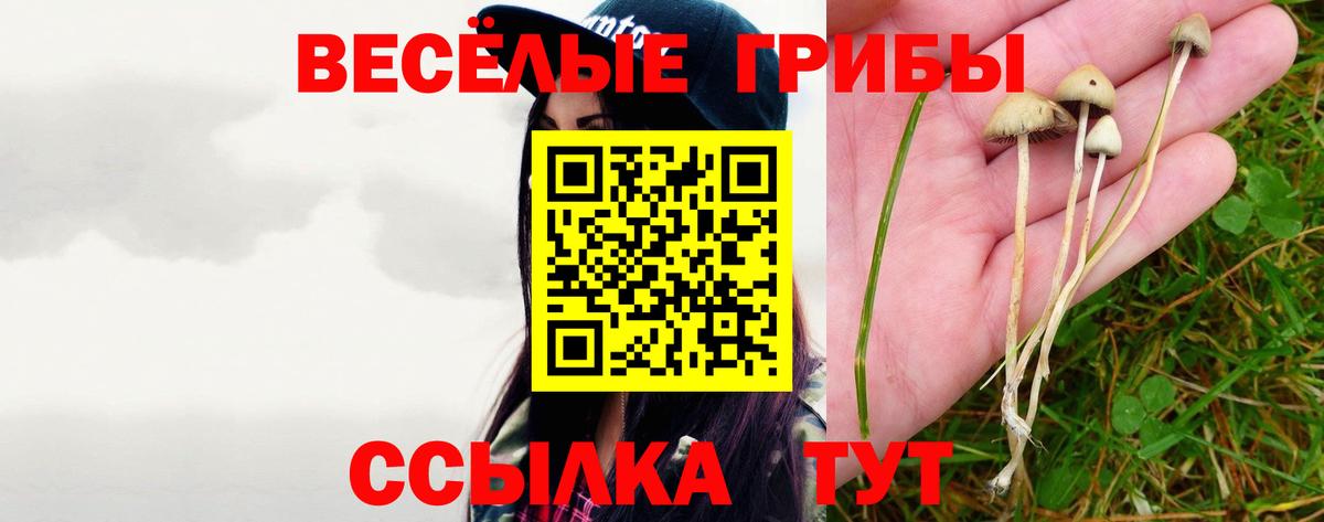 Бахчисарай  Псилоцибиновые грибы мицелий  Вход с VPN 