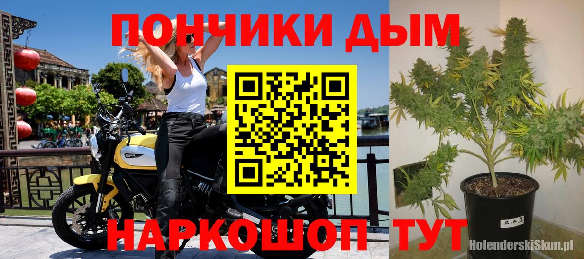 Марихуана марихуана Бахчисарай